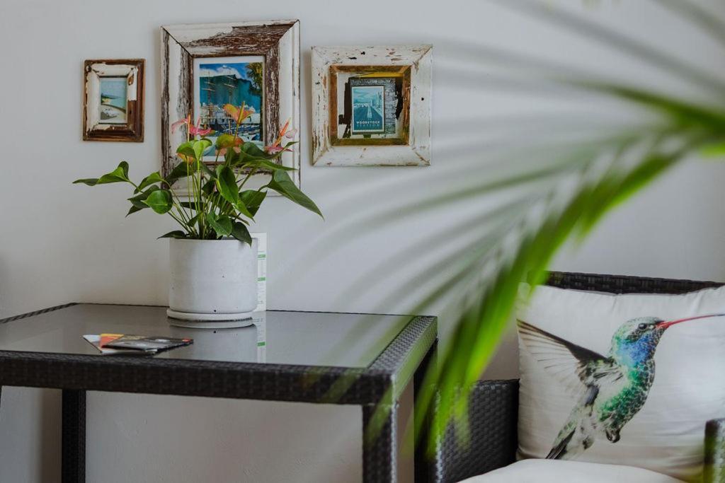 Radium Hall Guest House Cape Town Luaran gambar